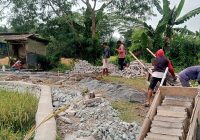 Serap Aspirasi Dari Masyarakatnya , Pemerintah Desa Peringwulung Bangun Jalan Usaha Tani